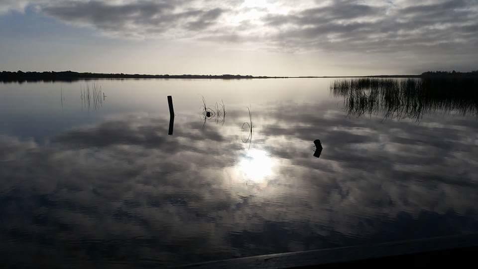 Ps Federal Retreat Paddle Steamer Goolwa Exterior foto